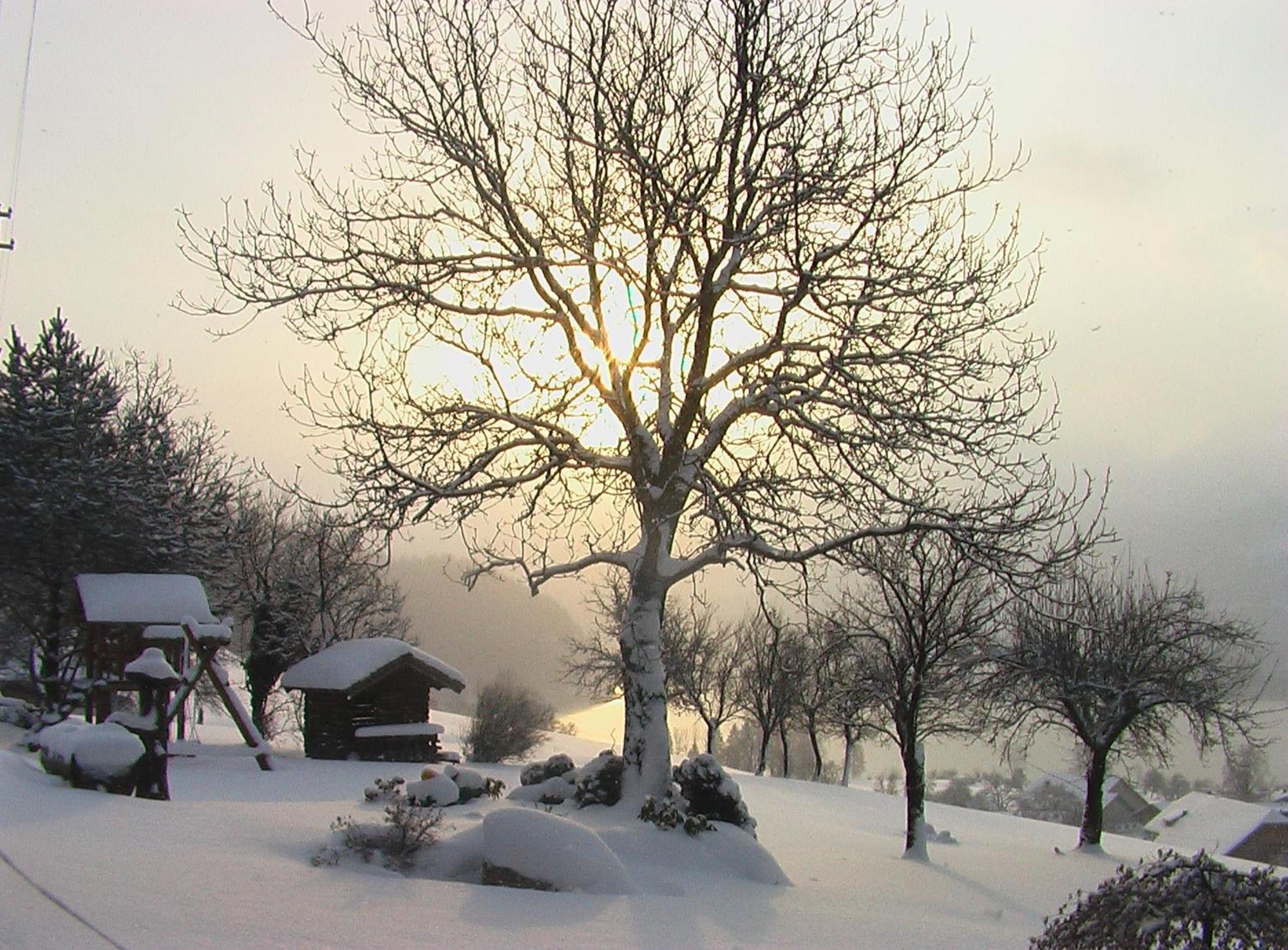Hauslhof Bed and Breakfast Saint Wolfgang Buitenkant foto
